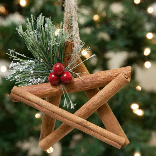 Cinnamon Stick Ornaments Preschool Christmas Crafts