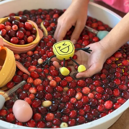 Cranberry Sensory Tray Preschool Christmas Crafts