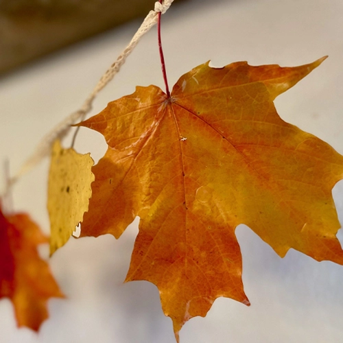 Leaf Garland Preschool Christmas Crafts