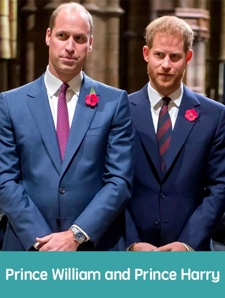 Prince William and Prince Harry Royals with a Montessori Foundation A Tech Moguls Foundation Famous Montessori Alumni How Montessori Education Shaped Great Minds