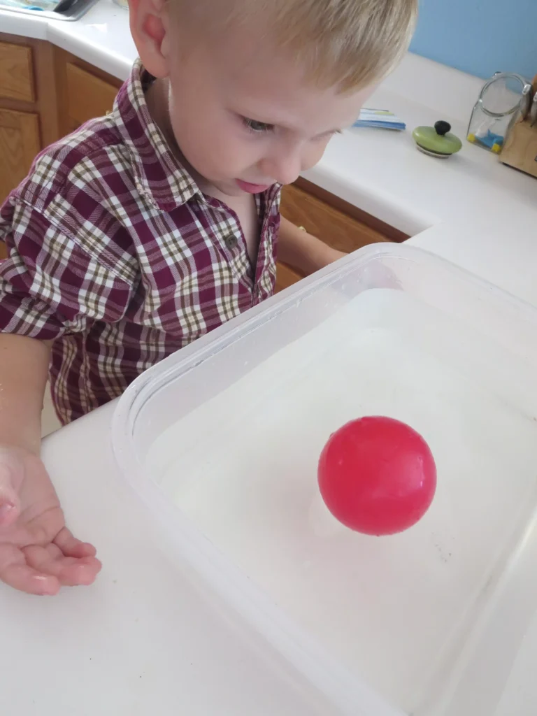 48 Best Preschool Educational Activities to Nurture Young Minds Sink or Float Experiment 2