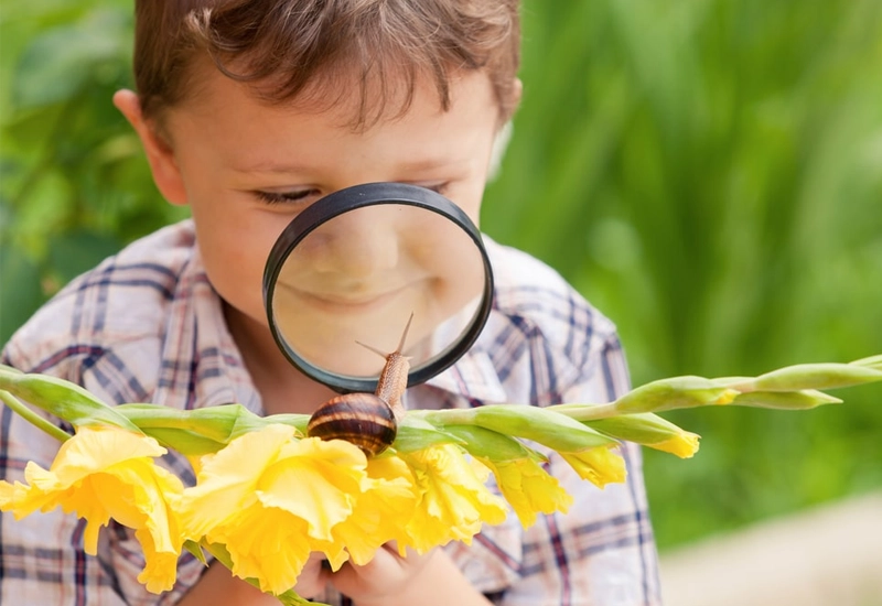 Learning Curiosity- Does Your Child Show Interest in Exploration?-The Best Age to Start Preschool For TOP Montessoris