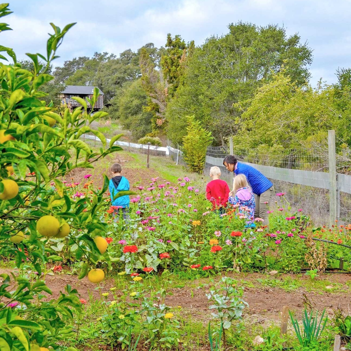 Why an Outdoor Classroom Is a Must-Have for Every Kindergarten 6 Farm-Based Learning Area
