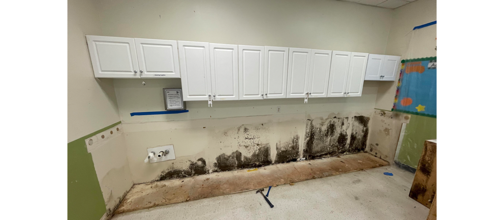 Daycare Cleaning: How Can You Ensure a Healthy Environment? 5 dust and mold in daycare