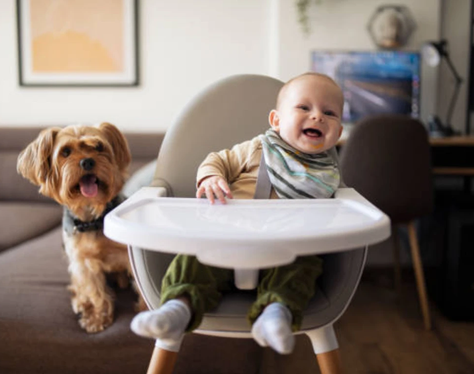 High Chair