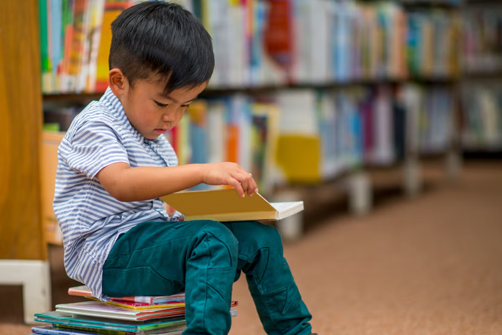 Solitary Play Matters: Unlocking Emotional and Cognitive Growth 16 Looking Through Picture Books