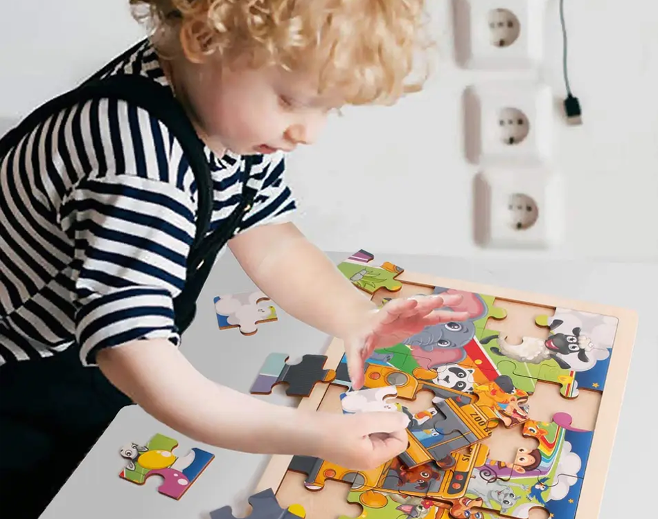 Puzzle Toys 1 Puzzle Toys