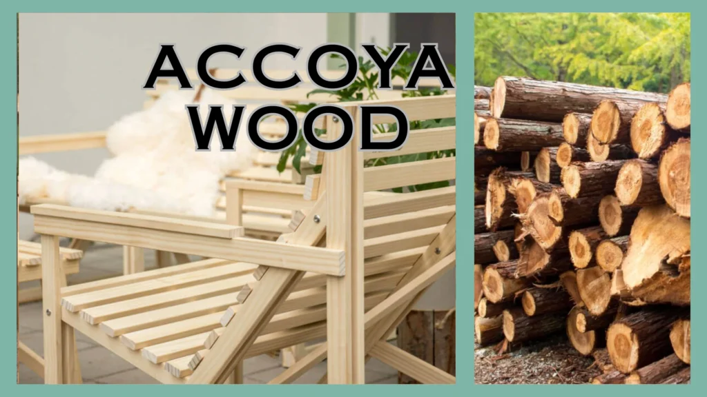 Know These 18 Types of Wood for Furniture Before Selecting Daycare Products 10 Accoya Wood