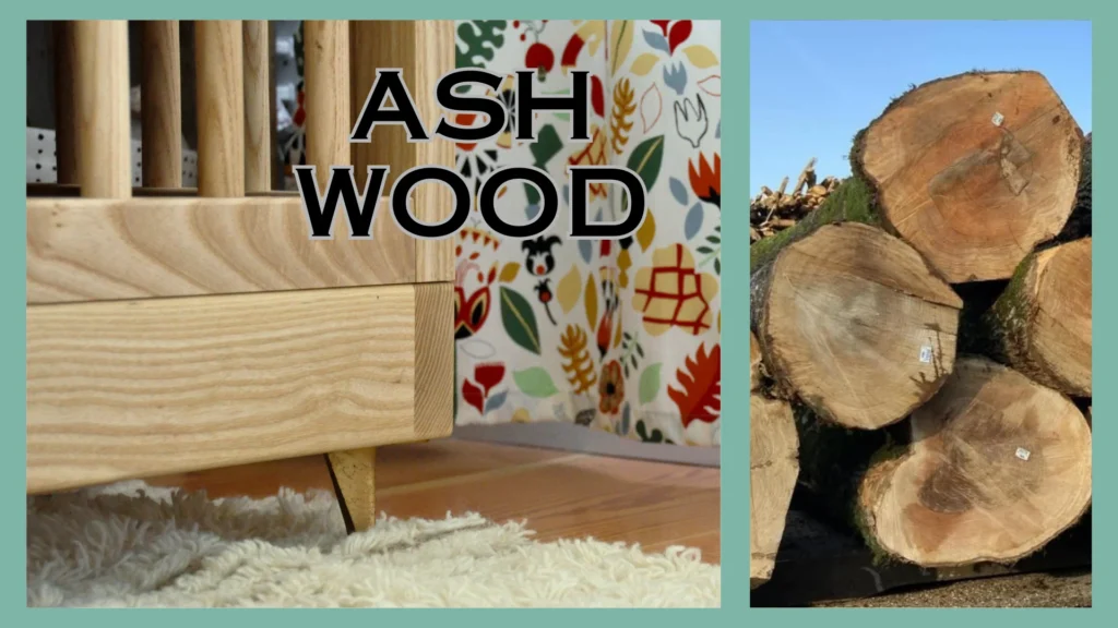 Know These 18 Types of Wood for Furniture Before Selecting Daycare Products 7 Ash Wood