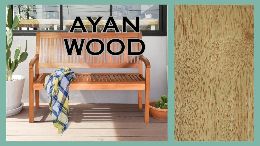 Know These 18 Types of Wood for Furniture Before Selecting Daycare Products 11 Ayan Wood