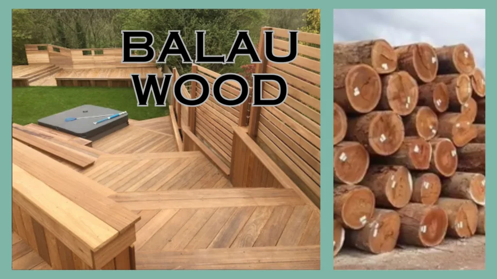 Know These 18 Types of Wood for Furniture Before Selecting Daycare Products 9 Balau Wood
