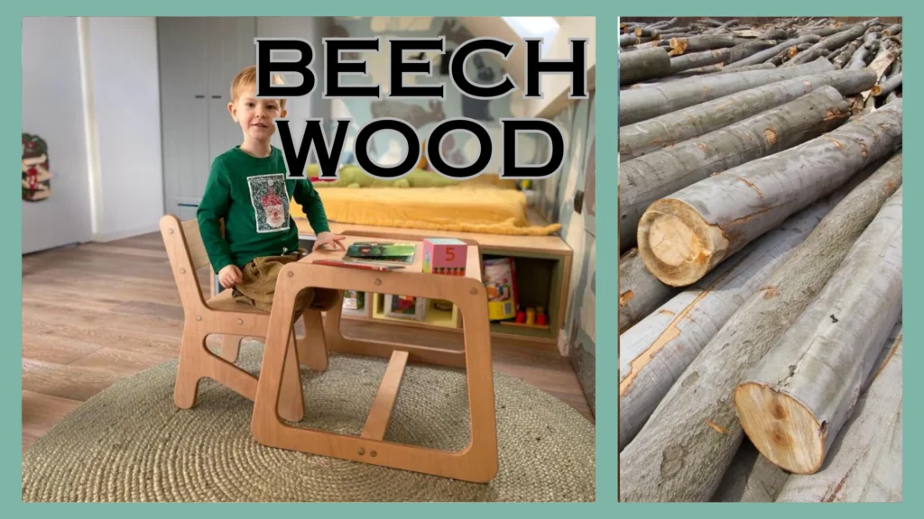 Know These 18 Types of Wood for Furniture Before Selecting Daycare Products 5 Beech Wood