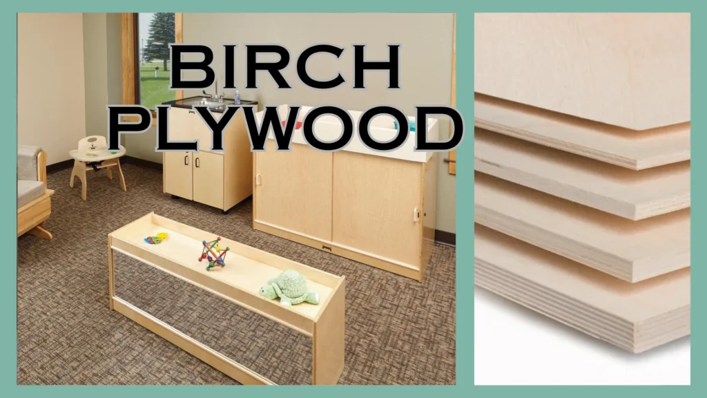 Know These 18 Types of Wood for Furniture Before Selecting Daycare Products 17 Birch Plywood