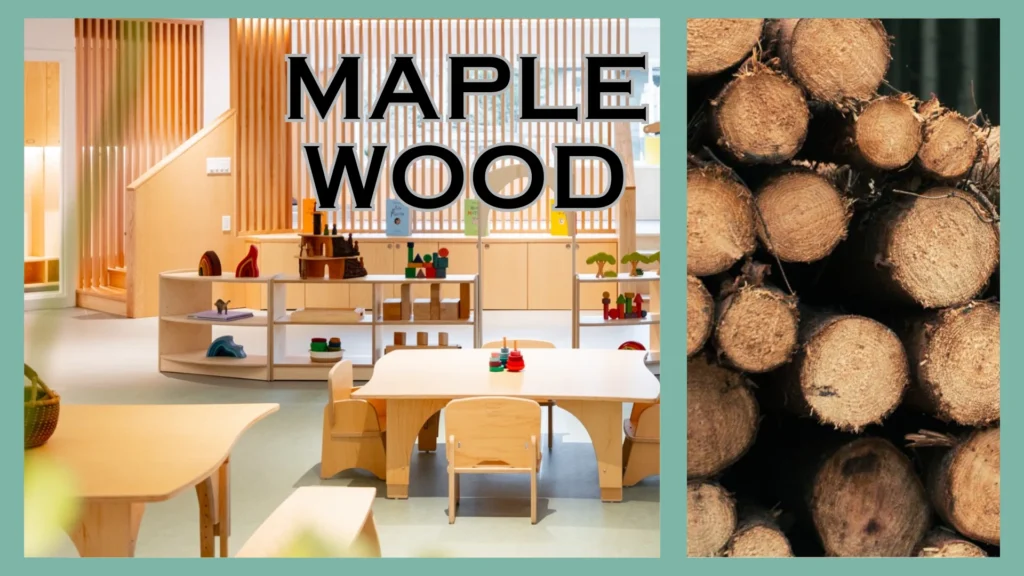 Know These 18 Types of Wood for Furniture Before Selecting Daycare Products 3 Maple Wood