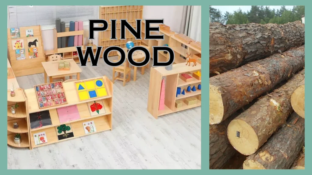 Know These 18 Types of Wood for Furniture Before Selecting Daycare Products 12 Pine Wood