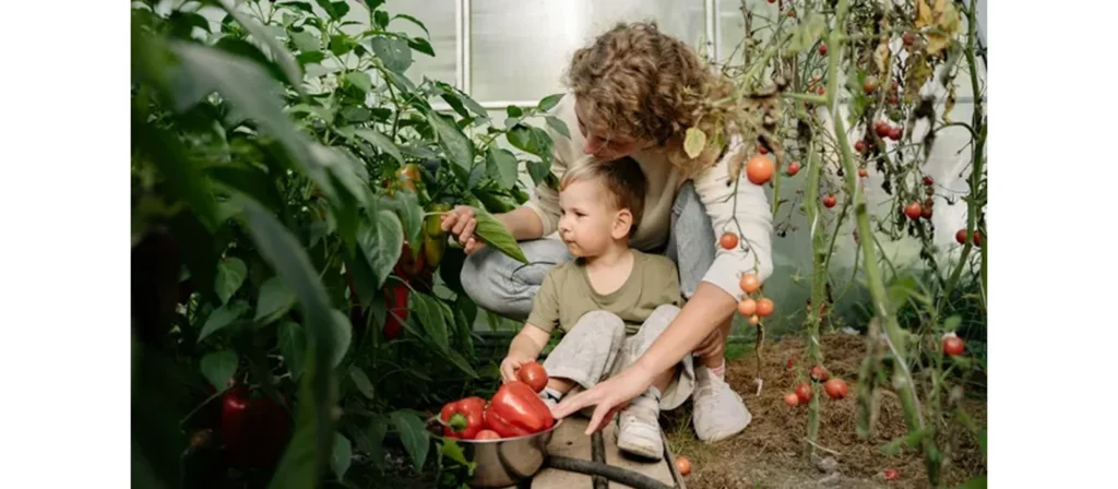 Waldorf vs Montessori: Which School Style Fits Your Family Best? 9 Reality vs Fantasy