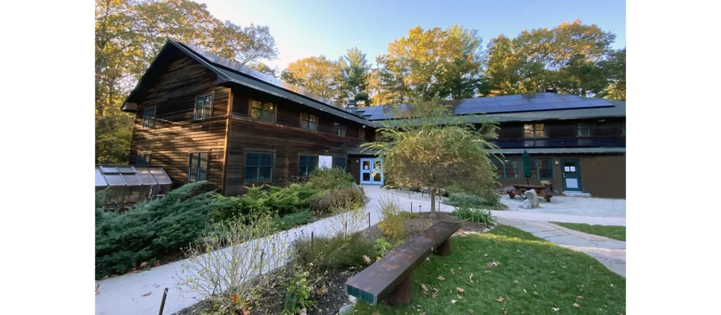 Waldorf vs Montessori: Which School Style Fits Your Family Best? 5 The History of Waldorf Education