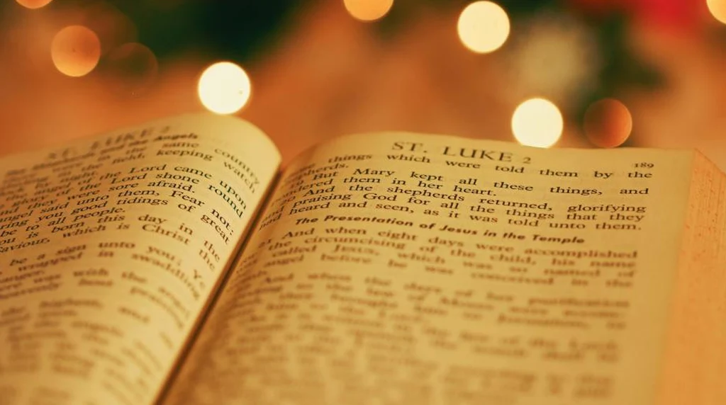 Montessori Peace Quote:Nurturing Peaceful Minds in Our Kindergarten 2 Classic Montessori Peace Quotes