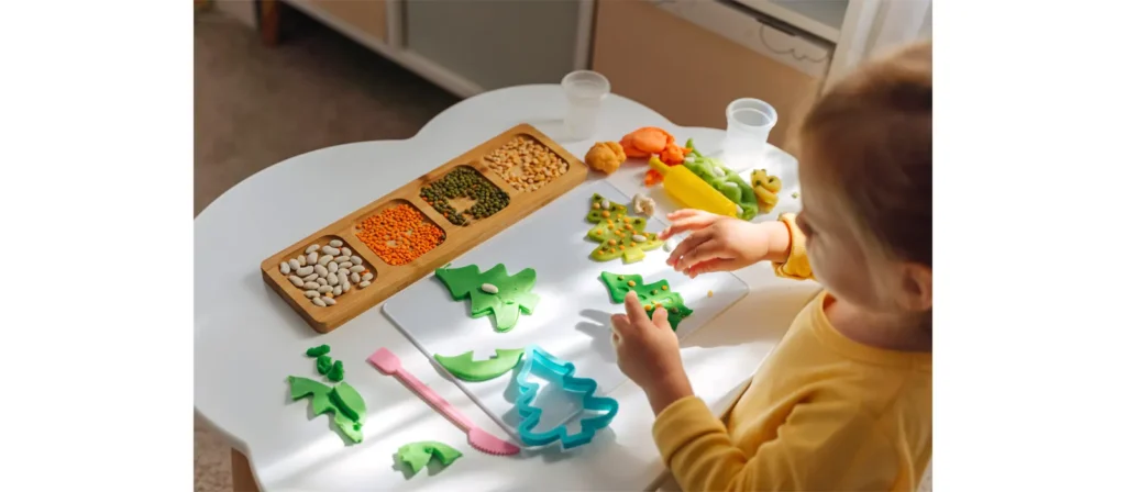 Display Furniture for Specimens and Materials