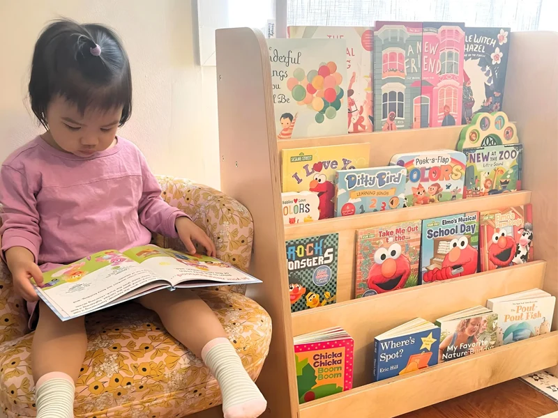 Montessori Shelf Books