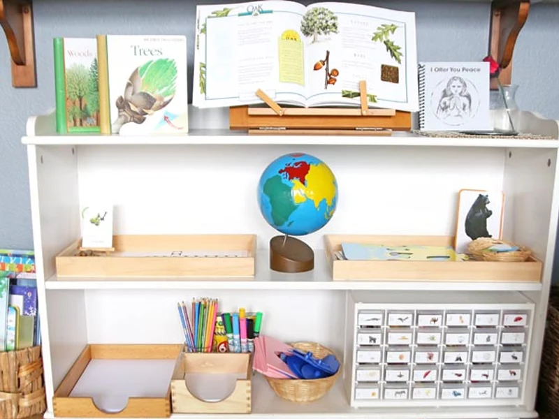 Montessori Shelf Nature and Reality Based Objects